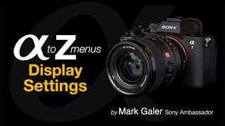 Sony Alpha Menus A to Z Display Settings