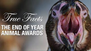 True Facts Animal Awards