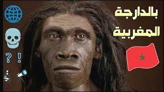 تاريخ البشر «الإنسان» على وجه الأرض بالدارجة المغربية الهوموسابيان  homo sapiens