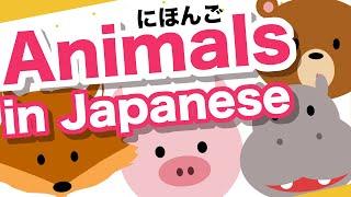 Animals in Japanese  Dog Cat Deer Rabbit Pig Hippopotamus etc