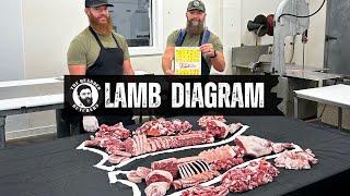A Visual Guide to the Cuts of a Lamb Where Every Lamb Cut Comes From  By The Bearded Butchers