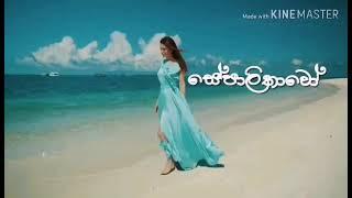 Sepalikawo සේපාලිකාවෝ - Shehan Kaushalya  Lyrics Video