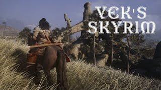 Best Modded Skyrim Youll Find Tonight Hopefully  2900 Mods  ️ Permadeath ️