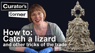 Renaissance Metalworking and Lifecasting with Rachel King  Curators Corner S7 Ep8