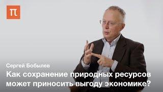 Устойчивое развитие и зеленая экономика - Сергей Бобылев