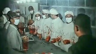 Инкубатор Смерти Объект 731 Десять Ужасающих Экспериментов над Людьми