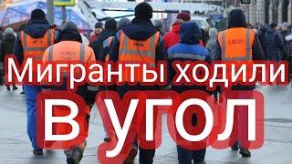 Мигранты ходили в угол