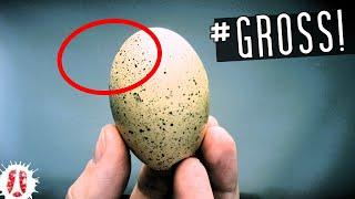 This Is Just GROSS #egg #experiment #science