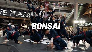 Bonsai  Super 24 2022 Preliminary