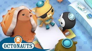 Octonauts - The Cone Snail  Cartoons for Kids  Underwater Sea Education