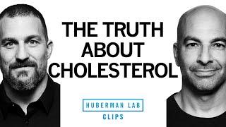 The Truth About Dietary Cholesterol  Dr. Peter Attia & Dr. Andrew Huberman