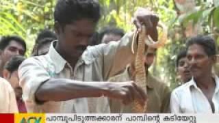 Cobra attacks Vava Suresh Live visuals