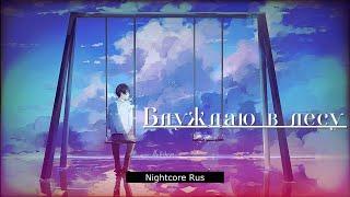 Nightcore - Андрей Бирин Дэйв Мецгер - Блуждаю в лесу