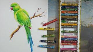 How to draw a parrot step by step with oil pastel