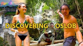 OSLOB TRAVEL VLOG Things to do in OSLOB CEBU  Paradise Philippines with Tee Mallari Paolo Varela