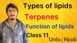 lipids structure Types and Functions of lipids parts 3