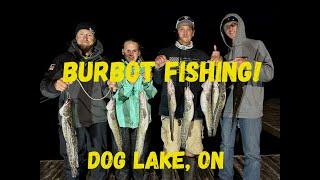 Burbot Fishing {Catch Clean & Cook} Dog Lake Missanabie Ontario Canada 714 & 715 2024