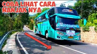 HUNTING BUS DI TANJAKAN VIRAL 