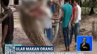 Wow Perjuangan Warga Melawan Ular Phyton Menjadi Viral Beruntung Nyawa Warga Selamat - BIS 0510