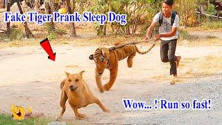 Wow... Fake Tiger vs Prank Sleep Dogs - Run So Fast Try to stop Laugh in 2021