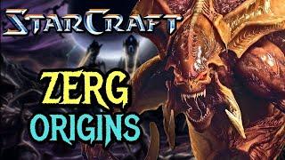 Zerg StarCraft Origins - A Terrifying And Ruthless Amalgamation Of Biologically Advanced Aliens.
