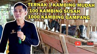 TERNAK 1 KAMBING MUDAH 100 KAMBING SUSAH 1000 KAMBING GAMPANG