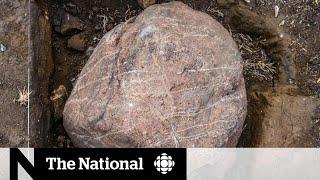 Archeologist uncovers rock art with help from bison