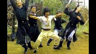 Ладонь Будды и кулак Дракона  боевые искусства 1980 год