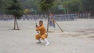 Shaolin Temple Kung Fu - Two Handed Broadsword