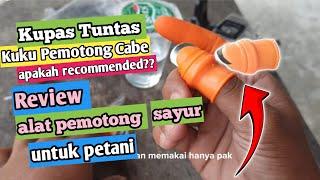 super keren alat pemotong cabe rawit yang simpel dan murah  sarung ibu jari kuku besi pemotong