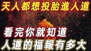 竟連天人都想投胎進人道！揭示靈界、人界神秘的生命天機，看完你就知道人道的福報有多大！