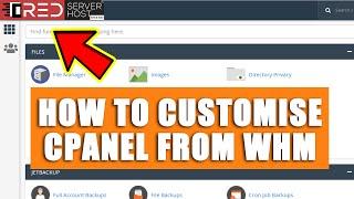 LIVE How to customize cPanel under your WHM?