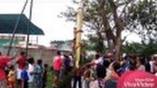 Video Lucu  Lomba panjat pisang - memperingati HUT RI agustusan ke 71