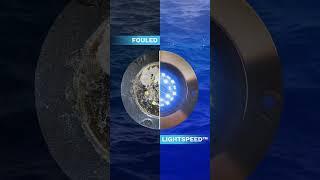 Lightspeed™ by Propspeed  Protect Underwater Lights  #shorts