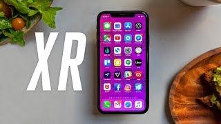 Apple iPhone XR review better than good enough