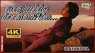 வானுயர்ந்த சோலையிலே... Idayakovil  Mohan  Radha  Ambika  Ilaiyaraaja  Raj4K Songs