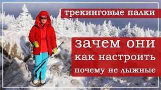 Трекинговые палки зачем нужны? Как настроить? Почему не лыжные?