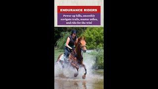 Attn Endurance Riders  Power Up Hills Master Miles Ride for the Win  Holistic Horseworks