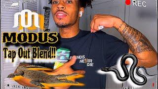 MODUS CART Review GATOR BREATH INDICA TAP Out Blend 