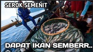 Surganya Ikan.Ribuan ikan nila di sungai Taiwan ini bikin geleng kepala