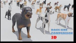 How Big Can Dogs REALLY Get?  3D Size Comparison Revealed