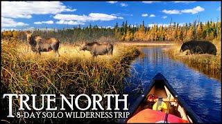 8-Day  175km Solo Wilderness Fishing Trip Walleye & Wildlife in the Far North