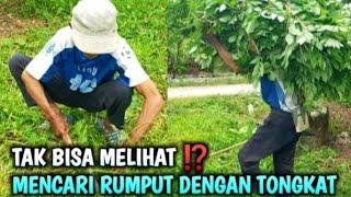 TAK BISA MELIHAT ⁉️ MENCARI RUMPUT DENGAN TONGKAT