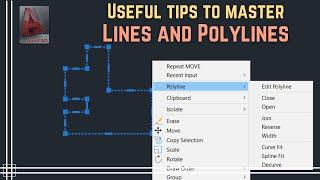 Autocad - Lines and Polylines Useful tips to master them
