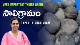 Muktinath లో సాలిగ్రామాల షాపింగ్  Shaligram types and Importance   Vijji Windows