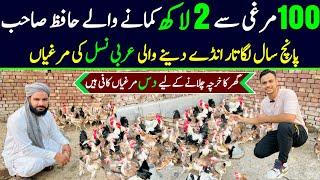 Poultry farm business plan  desi hen farming at home  dandarawi chicken breed  Golden misri