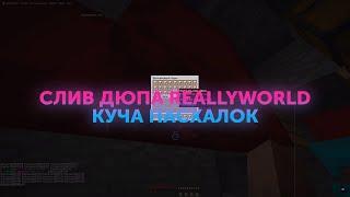 СЛИВ ДЮПА НОВОГО ДЮПА НА REALLYWORLD ft Ghost Team