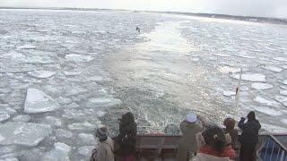 オホーツク海の流氷航海に観光客「最高！でも怖い」流氷砕氷船「おーろら」が流氷航海初日【HTBニュース】
