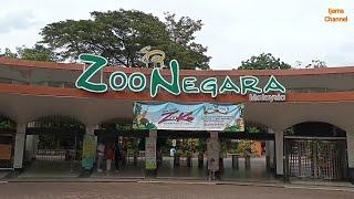 Jom Jalan Jalan Zoo Negara  National Zoo of Malaysia  Full Tour 