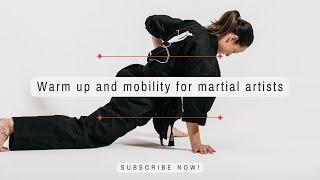 Warm up and mobility drills for Martial Artists  Chloe Bruce Academy